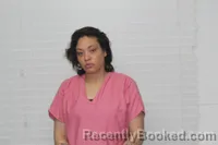 Mugshot of SARAH E FINLEY