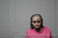 Mugshot of GAIL SANDRA LOVELAND