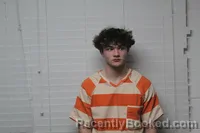 Mugshot of RYAN MIKEL WILLBANKS