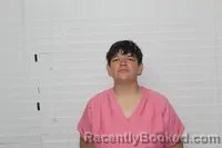 Mugshot of KAITLYN ADRIANNE MILLER booked in Christian County, Missouri on April 22, 2026