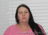 Mugshot of JENNIFER ANN CRAIN