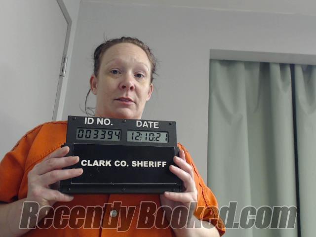 Booking photo from Clark County, Missouri