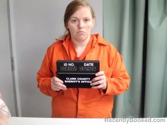 Mugshot of IRELAN E SMYSER