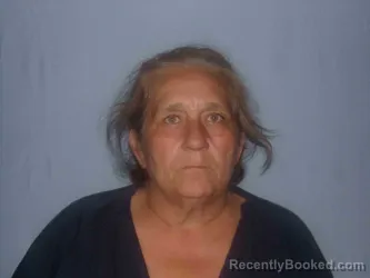 Mugshot of NANCY CALVERT booked in Clinton County, Missouri on July 14, 2026