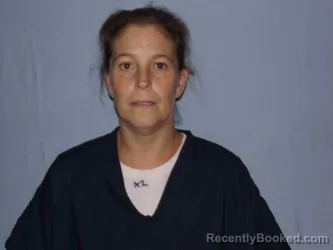 Mugshot of CHRISTINA CRAIG booked in Clinton County, Missouri on April 3, 2026