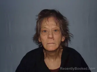 Mugshot of KRISTIE LEWIS booked in Clinton County, Missouri on April 8, 2026