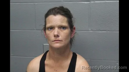 Mugshot of AMY LYNN HILTON booked in Cooper County, Missouri on July 1, 2026