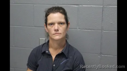 Mugshot of AMY LYNN HILTON booked in Cooper County, Missouri on August 4, 2026