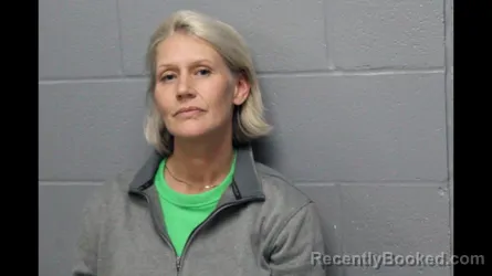 Mugshot of ANNE HAWKINS