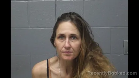 Mugshot of LINDSEY SUZANNE SHANNON booked in Cooper County, Missouri on April 15, 2026