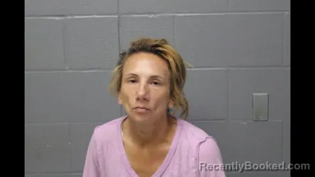 Mugshot of MELISSA R NORRIS booked in Cooper County, Missouri on June 4, 2026