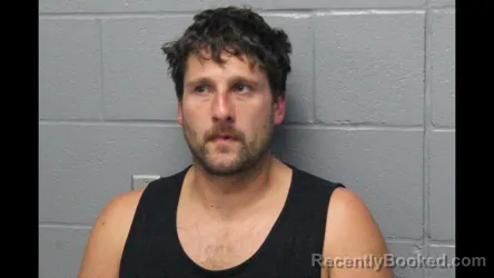 Mugshot of SETH P MICHAEL booked in Cooper County, Missouri on June 28, 2026