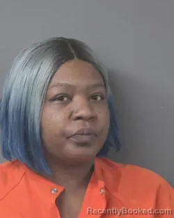 Booking photo from Wilson County, North Carolina