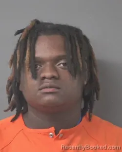 Mugshot of FERNANDO LAMAN WHITE