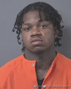 Booking photo from Wilson County, North Carolina