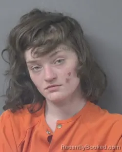 Mugshot of AMANDA SUE HARRIS