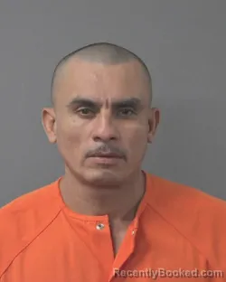 Mugshot of ISABEL ARAUJO MARTINEZ