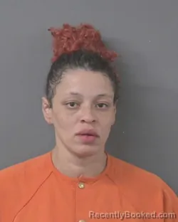 Mugshot of JULIE LIZABETH WAIBEL