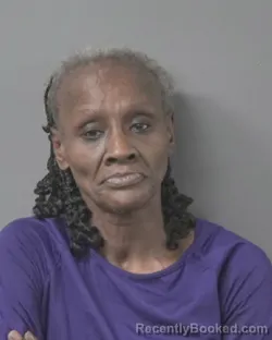 Mugshot of TWANA MICHELLE WILLIAMS booked in Wilson County, North Carolina on March 6, 2026