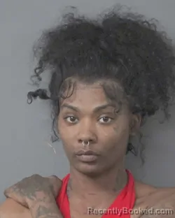 Mugshot of BRITTANY ALEXIS JOHNSON