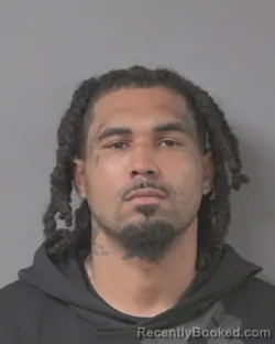 Mugshot of SANTANNA KASON TYSON booked in Wilson County, North Carolina on March 12, 2026