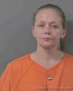 Mugshot of KAREN MICHELLE MATTOX booked in Wilson County, North Carolina on March 17, 2026