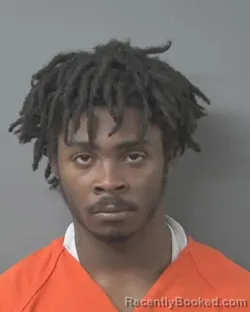 Mugshot of DAQUIEVIA HARDY booked in Wilson County, North Carolina on March 17, 2026