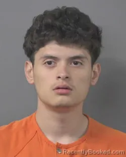 Mugshot of ADAN JR TORRES