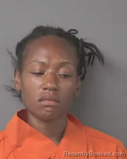 Mugshot of DANIELLE ERIN JOHNSON