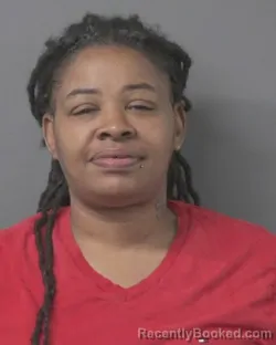 Mugshot of SYLVIA DIANNE CHATMAN