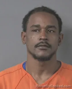 Mugshot of TONY FITZGERALD MCNEIL