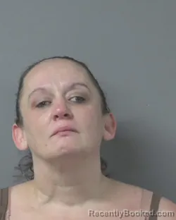 Mugshot of DIANNA LEE MURDAUGH