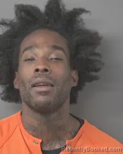 Mugshot of RAMONE DESHON LUCAS booked in Wilson County, North Carolina on April 2, 2026