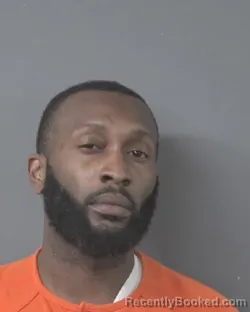 Mugshot of DOMINIQUE LAMONZ TINGLE booked in Wilson County, North Carolina on April 3, 2026