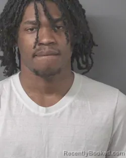 Mugshot of ZAKEITHIAN KESHONTA ROYSTER booked in Wilson County, North Carolina on April 4, 2026