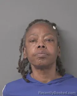 Mugshot of PAMELA JEAN BLUE booked in Wilson County, North Carolina on April 4, 2026