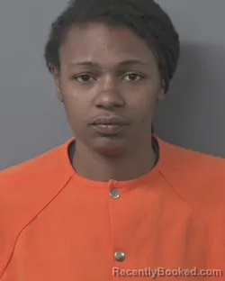 Mugshot of BRIA JENELEE WILLIAMS booked in Wilson County, North Carolina on April 24, 2026