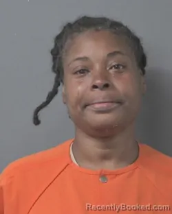 Mugshot of CHRISTY ANTWONETTE EVERETTE booked in Wilson County, North Carolina on April 25, 2026