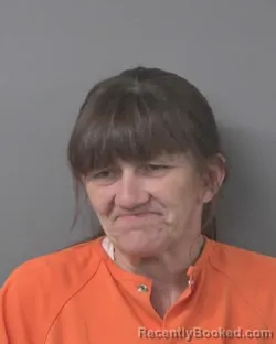 Mugshot of SANDRA MICHELLE WILLIAMS booked in Wilson County, North Carolina on April 29, 2026