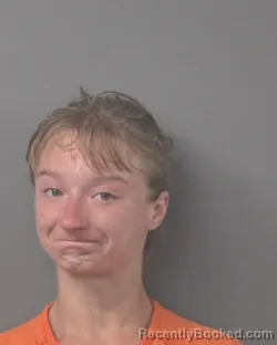 Mugshot of KATELYN ROCHELLE FORSTER booked in Wilson County, North Carolina on June 20, 2026