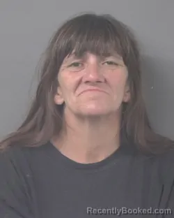 Mugshot of SANDRA MICHELLE WILLIAMS booked in Wilson County, North Carolina on June 22, 2026
