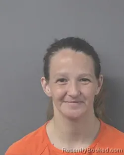 Mugshot of BRANDI NICOLE BRIDGERS booked in Wilson County, North Carolina on June 24, 2026