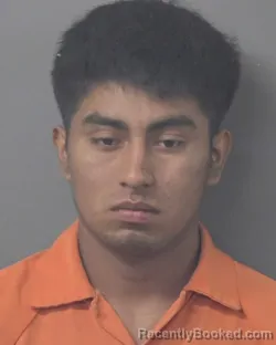 Mugshot of WILMER MORALES booked in Wilson County, North Carolina on July 5, 2026