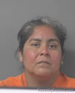 Mugshot of VIVIANA RENTERIA booked in Wilson County, North Carolina on July 5, 2026