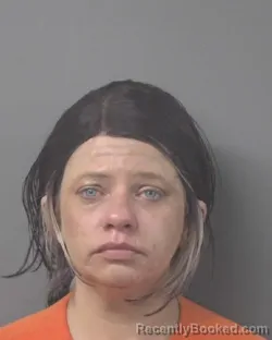 Mugshot of MEGAN WHALEY CREECH booked in Wilson County, North Carolina on July 6, 2026