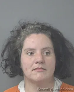 Mugshot of ASHLEY KRISTEN BAKER booked in Wilson County, North Carolina on July 7, 2026