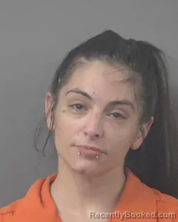 Mugshot of BRITTANY DANIELLE HUTCHINSON booked in Wilson County, North Carolina on July 15, 2026