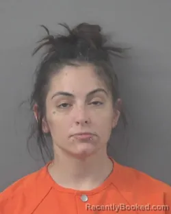 Mugshot of Brittany Danielle Hutchinson booked in Wilson County, North Carolina on October 26, 2026