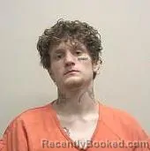 Mugshot of AUSTIN T FOX booked in Daviess County, Missouri on June 23, 2026