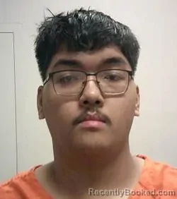 Mugshot of CUNG LEI HMUNG